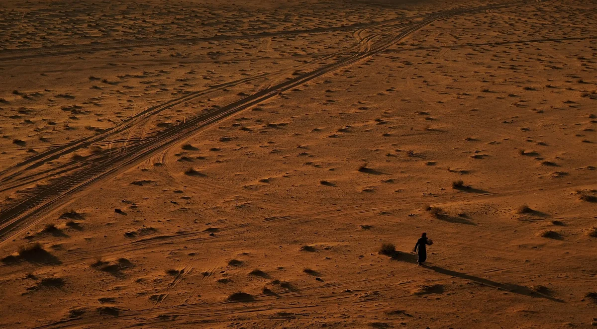 A Bedouin gathering twigs for the tea fire on a Wadi Rum camel ride